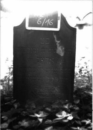 Grabstein A II/6/16: Grabstein A2/6/16