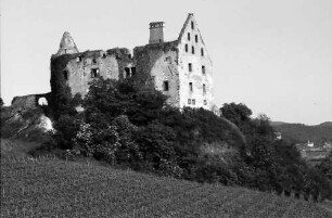 Burkheim: Schwendi-Schlossruine