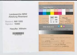 Entnazifizierung Wilhelm Haeufler, geb. 28.02.1910 (Verw.Beamter)