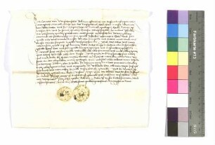 Conrad von Weischenfeld: Schadloshaltung; Siegel: Conrad von Weischenfeld.