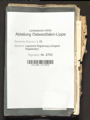 Deutsche Hilfsvereine in Österreich-Ungarn