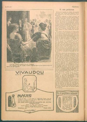 El voto profesional