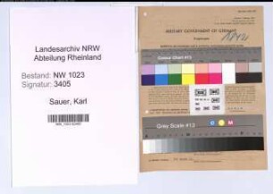 Entnazifizierung Karl Sauer , geb. 02.03.1896 (Ingenieur)