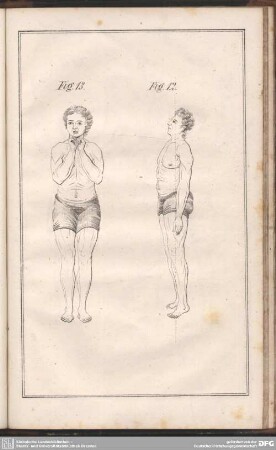 Fig. 13. Fig. 12