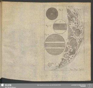 Fig. Phys. Tab. II