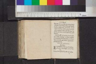 Text / Einträge Bl. 201 - 250