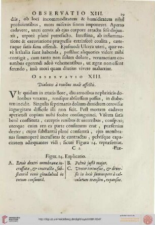 Observatio XIII