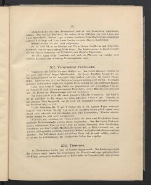 XII. Verschiedene Fundstücke.