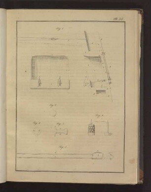 Pl. 38. Fig. 1. bis Fig. 5., Fig. A.