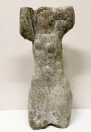 Weiblicher Torso