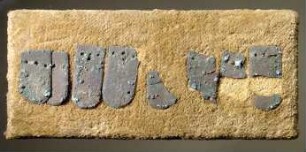 Fünf ganze und ein paar fragmentierte Schuppen eines Panzers, auf einem Brett