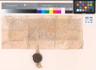 Transsumpt von 1463 Dezember 6.