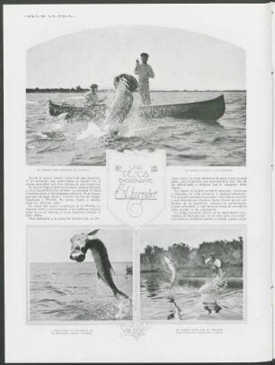 Una pesca emocionante - El tarpón