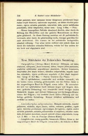 Neue Nitidularier der Dohrn'schen Sammlung