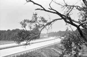 Freiburg-Mitte und -Nord: Durch Baumäste auf Autobahn zwischen Freiburg-Mitte und -Nord