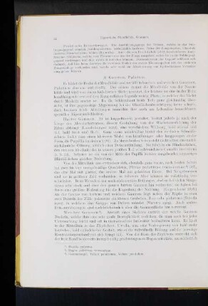 Gaumen, Palatum.