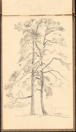 Skizzenbuch 1915: Zwei Bäume in der Landschaft, perspektivische Ansicht