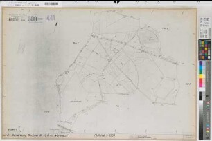 Dackmar (Warendorf), Vohren (Warendorf), Flurbereinigung Dackmar-Vohren, Bl.11 Alter Bestand Dackmar Flur 6