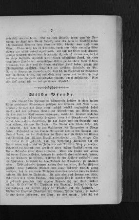 Wilde Pferde.