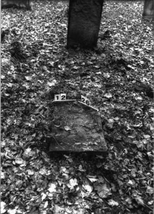 Grabstein A I/12/26