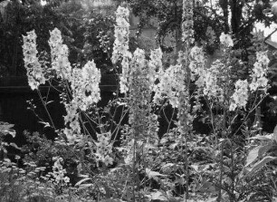 Privatfilm Familie Schnabel ca. 1937 [Archivtitel]