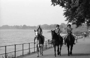 Düsseldorf-Kaiserwerth: Reiter am Rheinufer