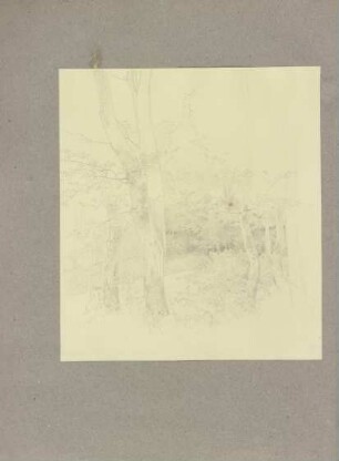 Klebebände, Band 13, Seite 88
