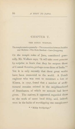 Chapter V. The Hindu Temples.