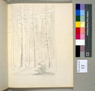 Verschneiter Wald mit Bach