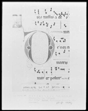 Graduale — Initiale D (e ventre), Folio 117verso