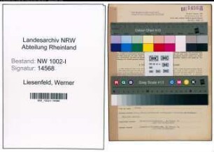 Entnazifizierung Werner Liesenfeld, geb. 22.02.1917 (Ingenieur)