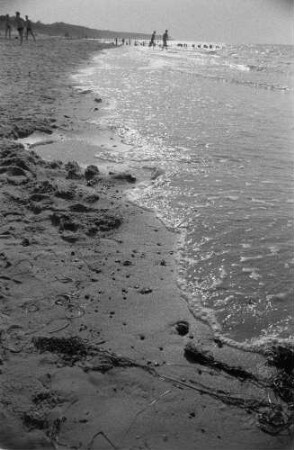 Ostseeküste. Am Strand