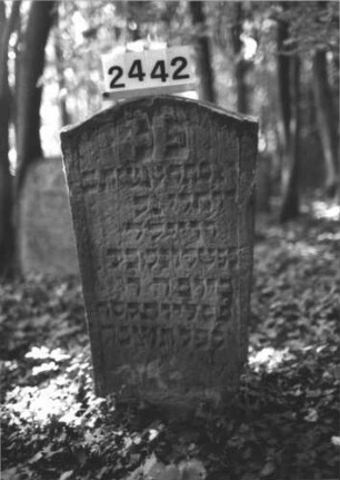 Grabstein 2442