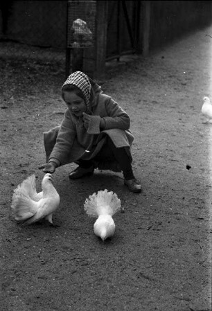 Sonniger Wintertag im Stadtgarten und Zoo.