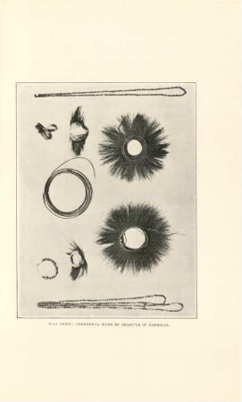 Plate XXXVII. Ornaments worn by Negritos of Zambales
