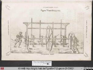 Figura Ventesimaquinta