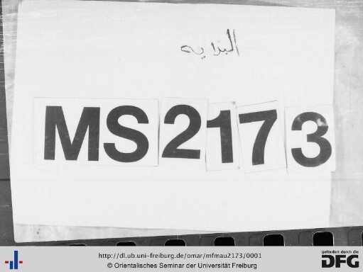 MF Mau 2173