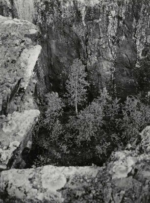 Tiefe Schlucht im Naturreservat Ginokolt
