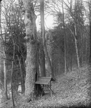 Landschaft : Unbekannter Ort. Futterstelle im Wald