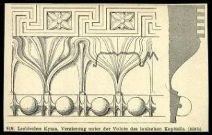 Abbildung Lesbisches Kyma