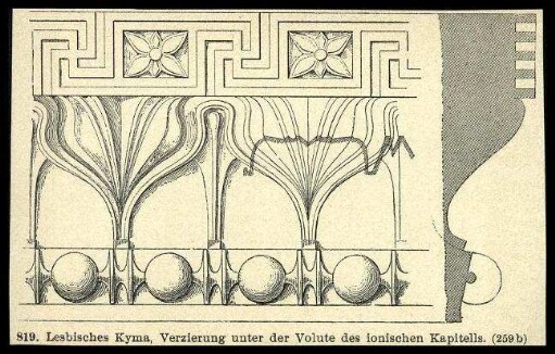 Abbildung Lesbisches Kyma