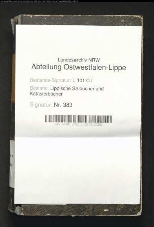Konzept des Salbuchs des Amtes Brake von 1856, Bd. 2