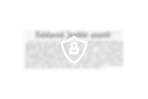 Erfolgreich Detektiv gespielt