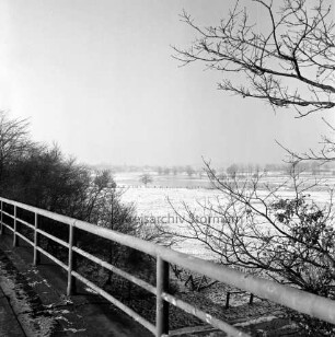 Trave: Blick in das Travetal bei Reinfeld mit überschwemmten und gefrorenen Wiesen: links und rechts Büsche: vorn Geländer: hinten Baumreihe: Winter