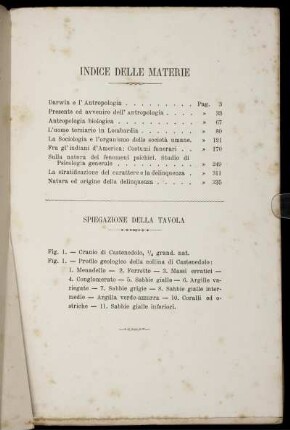 Spiegazione Della Tavola