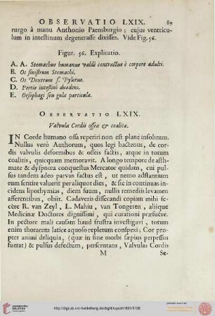 Observatio LXIX