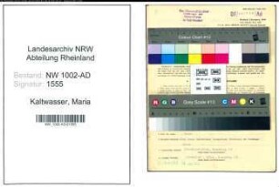Entnazifizierung Maria Kaltwasser, geb. 22.12.1921 (Angest.)