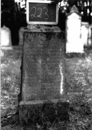 Grabstein 223