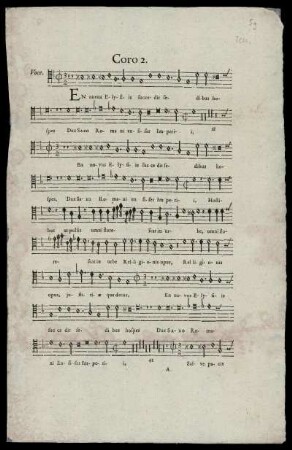 Voce (Tenor)