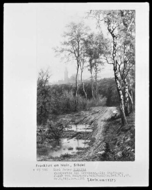 Birkenweg mit Blick auf Cronberg